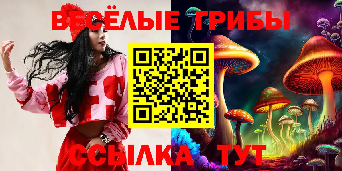 Вологда  Галлюциногенные грибы Psilocybe  Вход с VPN  Галлюциногенные грибы MAGIC MUSHROOMS 
