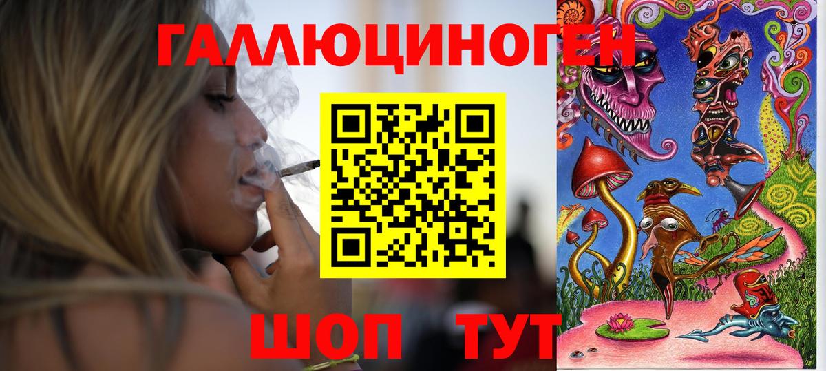 Галлюциногенные грибы Psilocybine cubensis Вологда